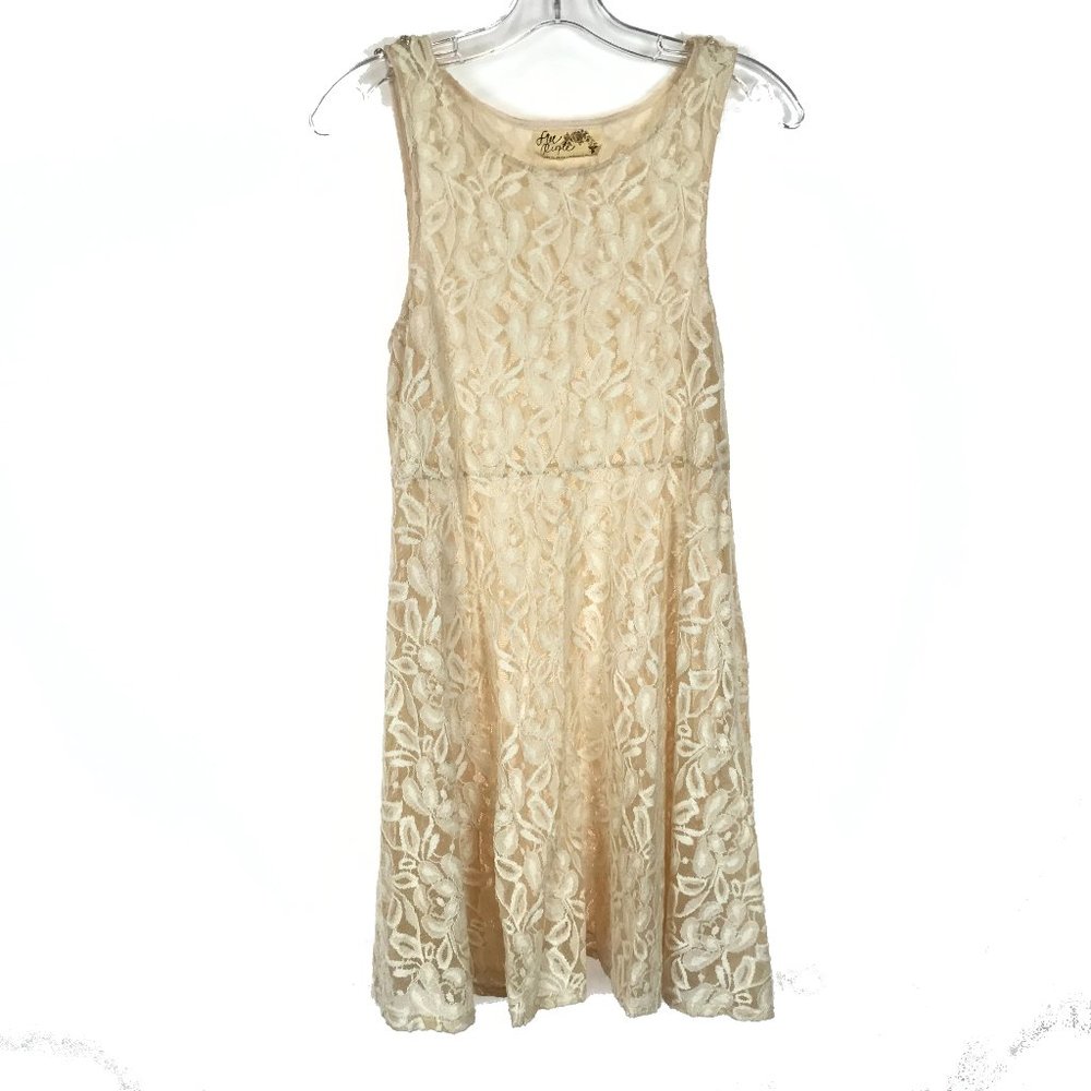 Vintage Free People Sheer Lace Fit and Flare Dress